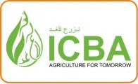 ICBA Organizational HR Consultancy